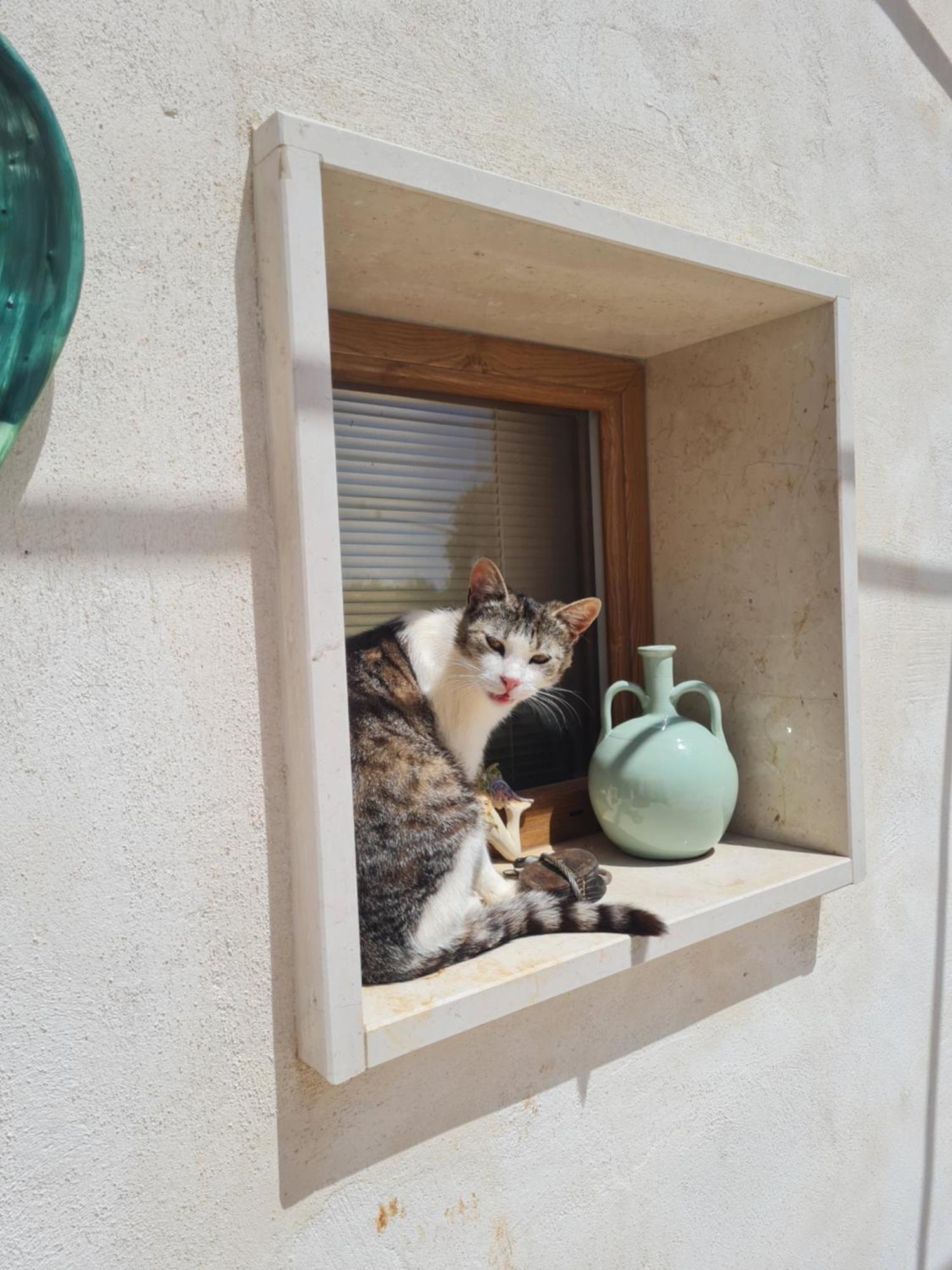 Casa 44Gatti Apartman Martina Franca Kültér fotó